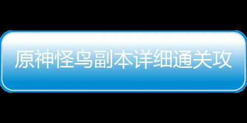 详细通关原神怪鸟攻略副本